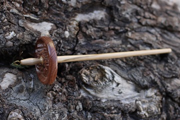 Huso del conjunto Horoscopo