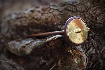 Huso con acabado en latón