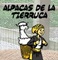 Alpacas de la tierruca